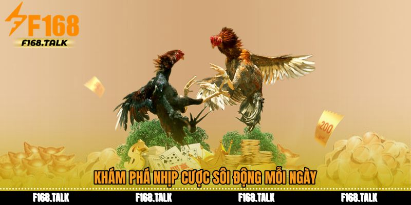 Khám phá nhịp cược sôi động mỗi ngày