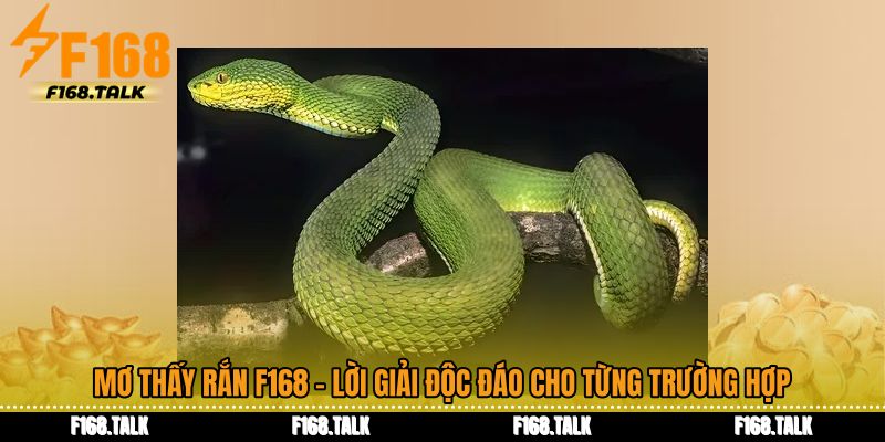 Mơ Thấy Rắn F168 - Lời Giải Độc Đáo Cho Từng Trường Hợp