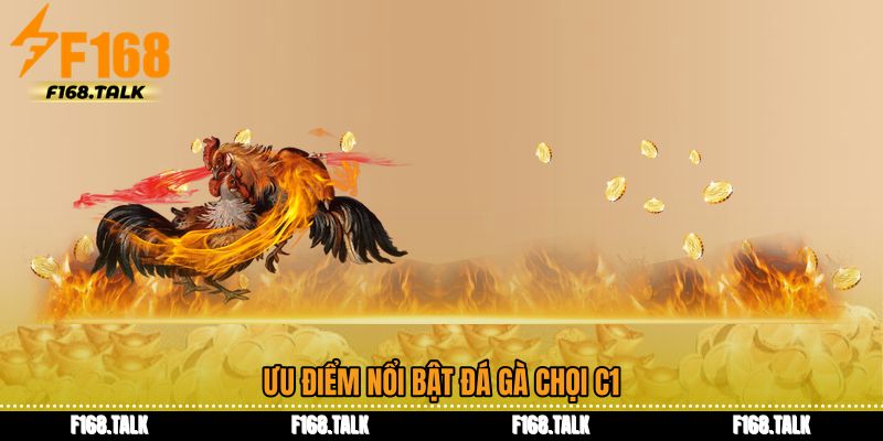 Ưu điểm nổi bật Đá gà chọi c1